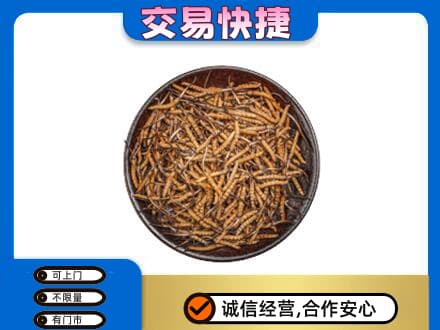 莆田市仙游高价回收散虫草